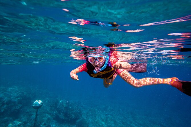 Molokini Snorkel and Performance Sail: Mā’alaea Harbor - The return sail, whales, dolphins, and music