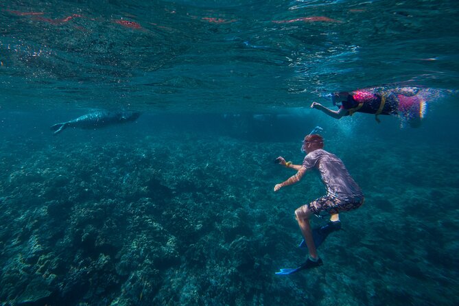 Molokini Snorkel and Performance Sail: Mā’alaea Harbor - Is $200 a fair price for five hours?