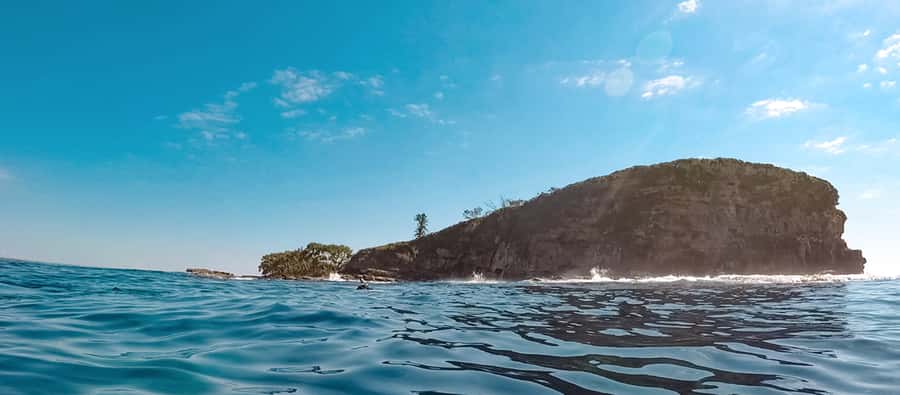 Mooloolaba: Snorkel with Turtles Mudjimba Island - Key points to know before you book