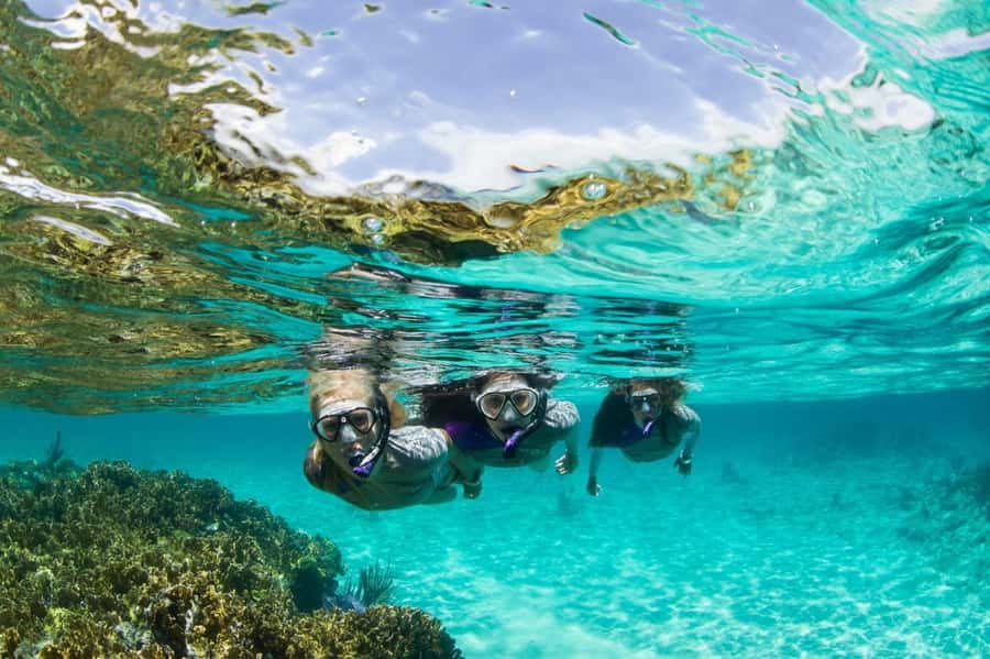 Mooloolaba: Snorkel with Turtles Mudjimba Island - One hour around Mudjimba Island