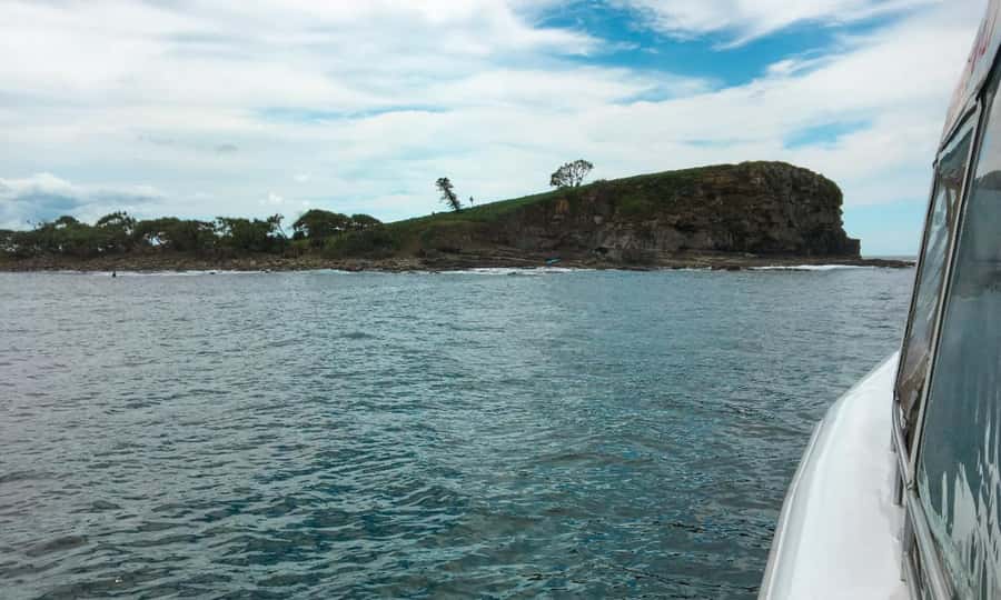 Mooloolaba: Snorkel with Turtles Mudjimba Island - What the water can really be like