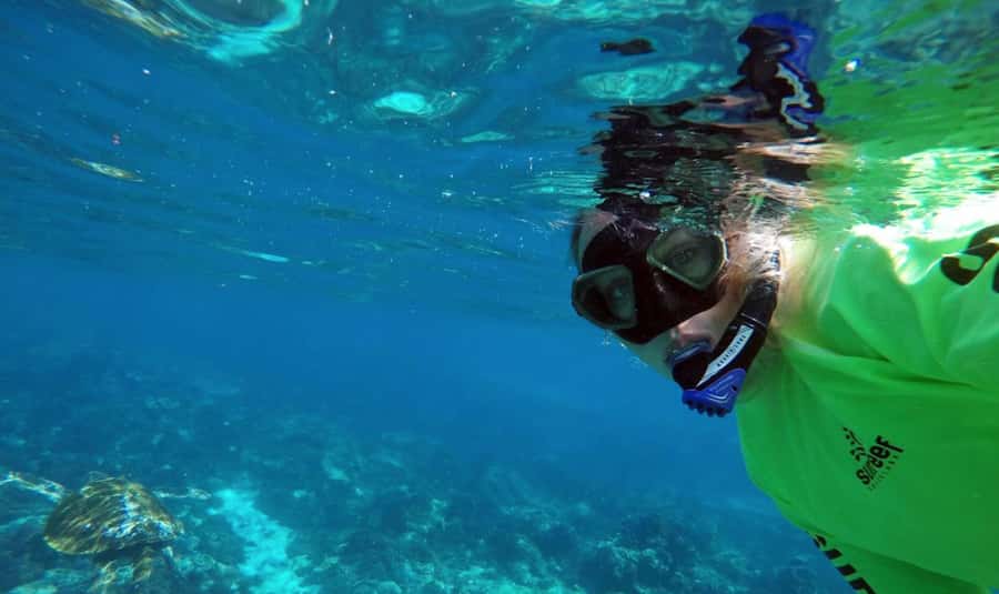 Mooloolaba: Snorkel with Turtles Mudjimba Island - The crew makes the difference