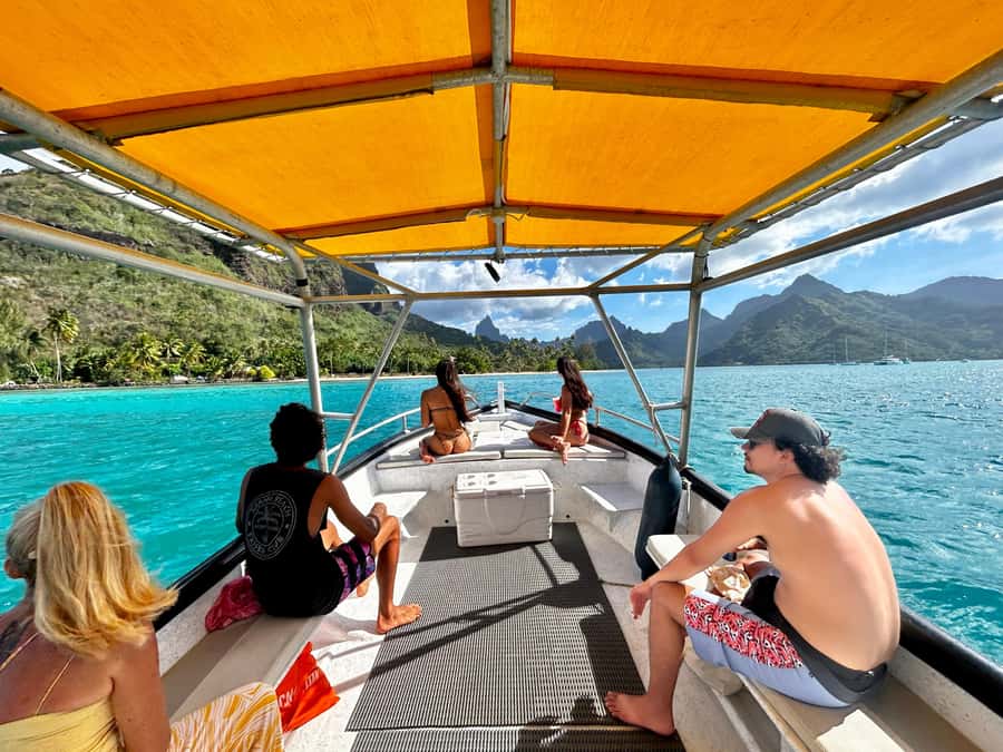 Moorea 4H Shared Boat Tour Whale Swimming and Snorkeling - Moorea whale tour at a glance
