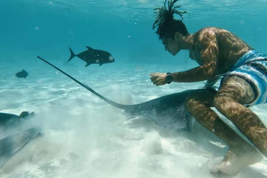 Moorea: Glass Bottom Boat Adventure with Lagoon Wonders - Key details at a glance