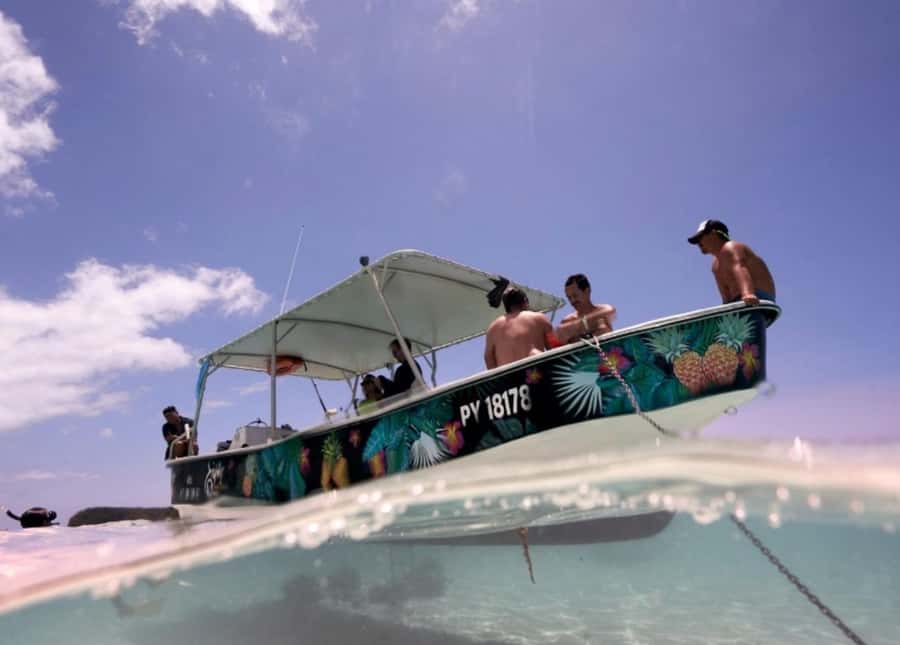 Moorea: Lagoon and Reef Snorkeling Tour with Drinks - The real value of the $118 price