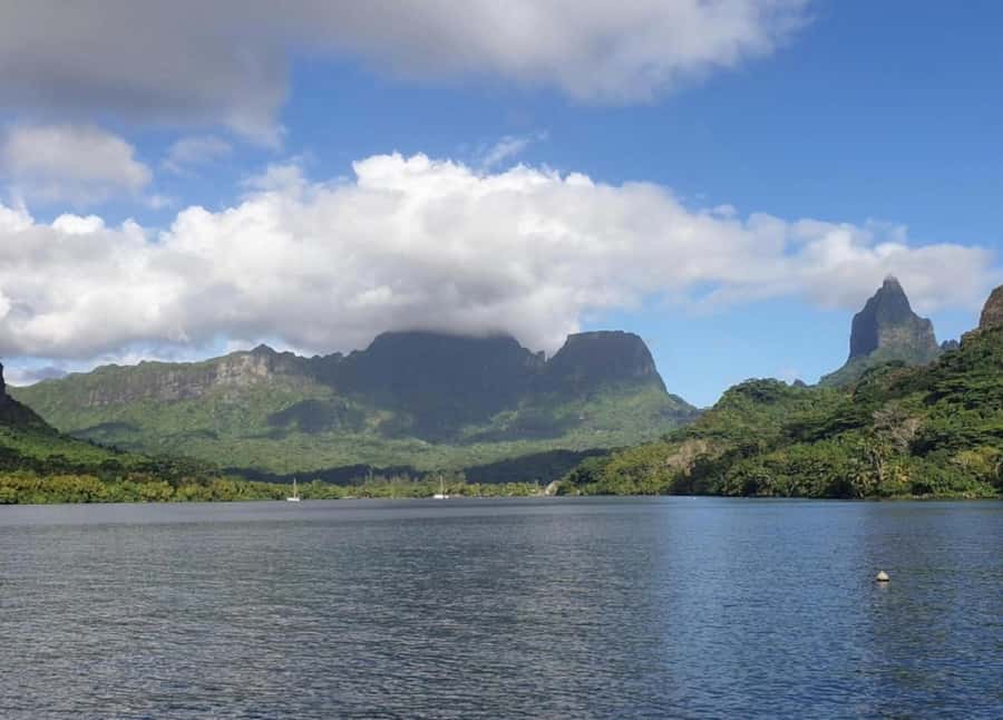 Moorea: Lagoon and Reef Snorkeling Tour with Drinks - Should you book it?