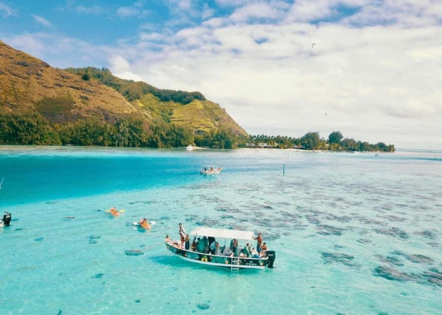 Moorea: Lagoon and Reef Snorkeling Tour with Drinks - Lagoon turtles in calmer water
