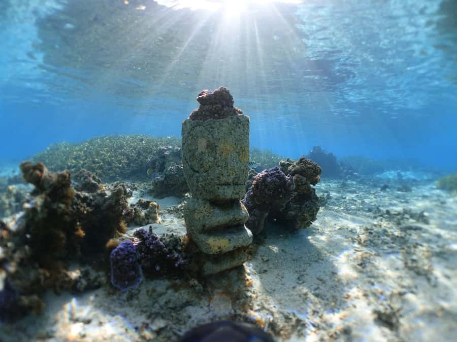 Moorea: Sea Scooter Snorkeling Tour - Why the small group matters