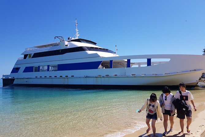 Moreton Island Day Trip (Kayak, Snorkel & Sandboard) frm Brisbane or Gold Coast - Sandboarding down the dunes