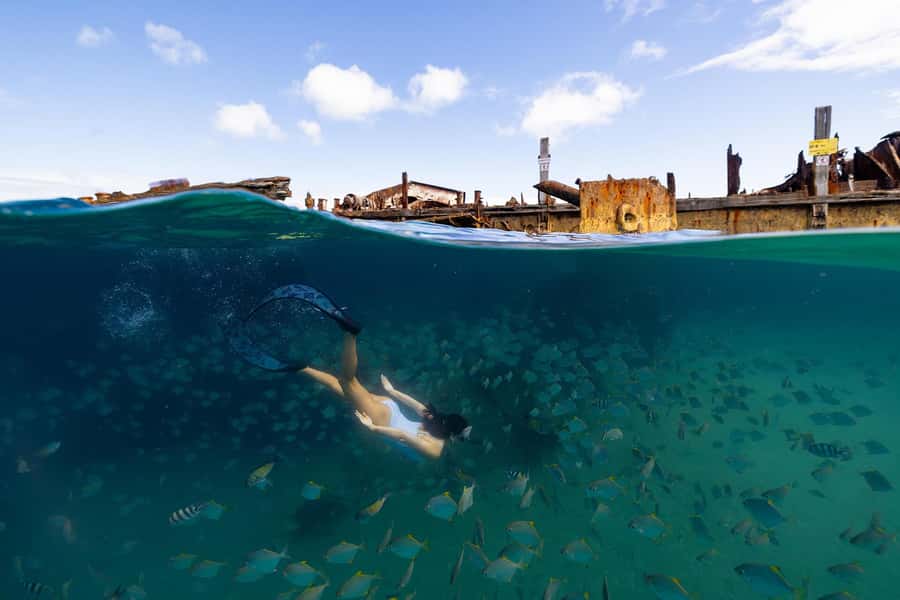 Moreton Island: Dolphin & Tangalooma Wrecks Snorkel Cruise - Who will enjoy this Moreton Island day?