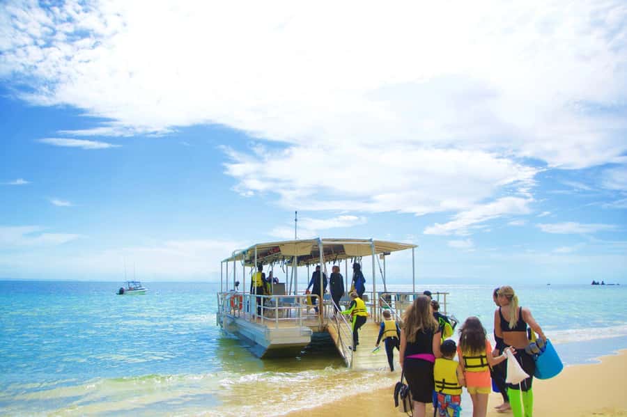 Moreton Island: Tangalooma Day Trip with Snorkeling Tour - Snorkeling the 15 Tangalooma Wrecks