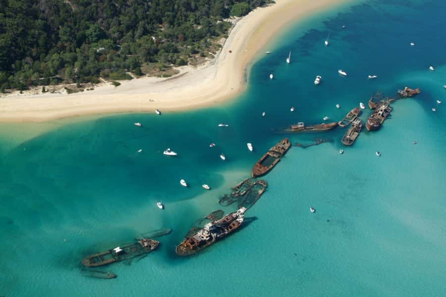 Moreton Island: Tangalooma Day Trip with Snorkeling Tour - Who should book this Moreton Island day trip?