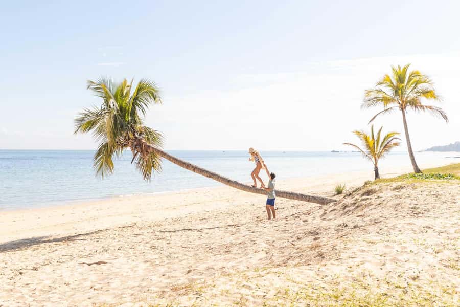 Moreton Island: Tangalooma Day Trip with Snorkeling Tour - Should you book it?