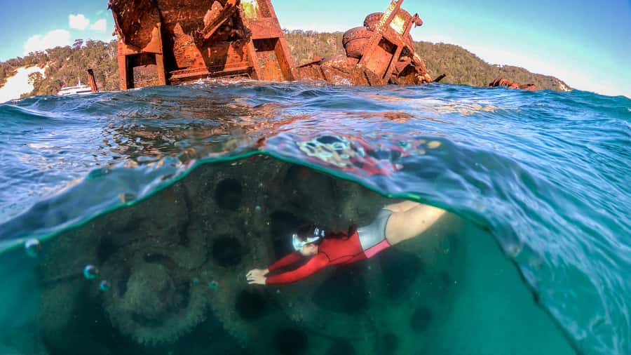 Moreton Island: Tangalooma Snorkeling Tour & Dolphin Feeding - Key details at a glance