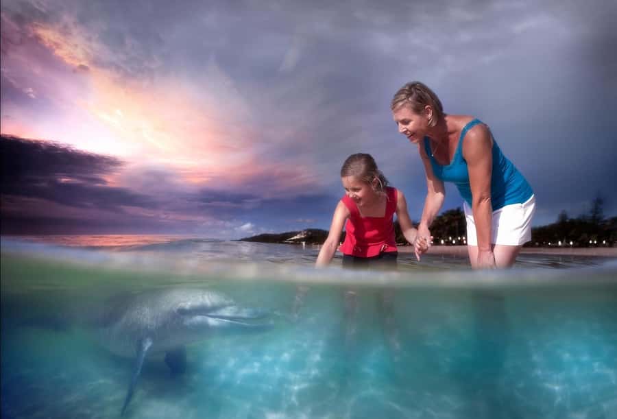 Moreton Island: Tangalooma Snorkeling Tour & Dolphin Feeding - Final verdict: a strong first Moreton Island day