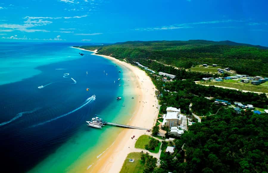 Moreton Island: Tangalooma Snorkeling Tour & Dolphin Feeding - From Brisbane to Moreton Island in 75 minutes
