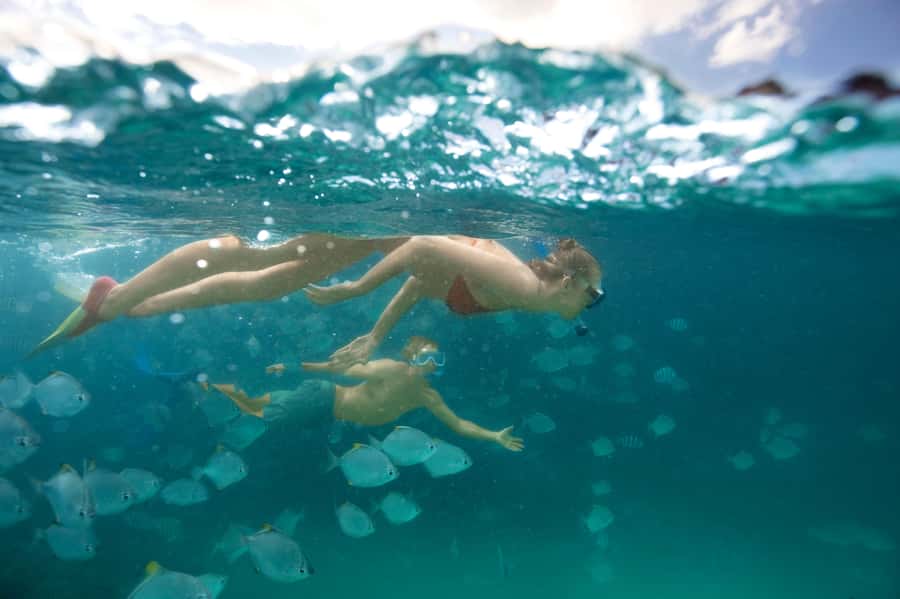 Moreton Island: Tangalooma Snorkeling Tour & Dolphin Feeding - Waiting for wild dolphins at sunset