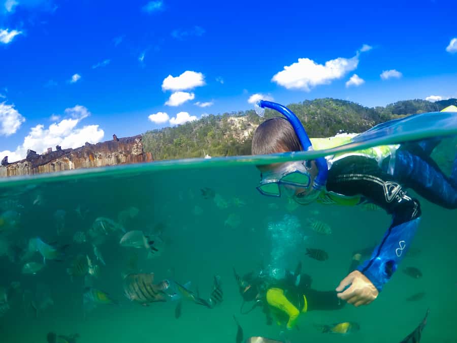 Moreton Island: Tangalooma Snorkeling Tour & Dolphin Feeding - Who should book this day trip?