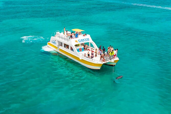 Morning Half Day Cruise from Providenciales with Snorkeling and Iguana Island - Starting at Alexandra Resort and getting onto the boat