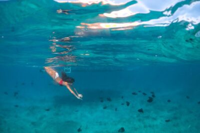 Morning Half Day Cruise from Providenciales with Snorkeling and Iguana Island
