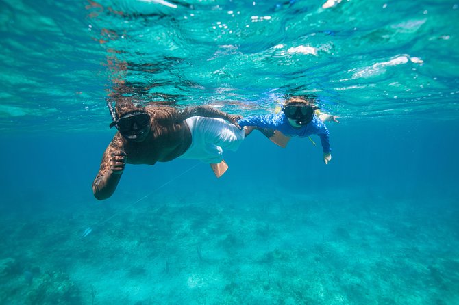 Morning Half Day Cruise from Providenciales with Snorkeling and Iguana Island - Crew service, safety, and the crowded-boat question