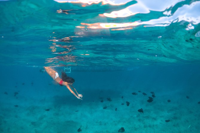 Morning Half Day Cruise from Providenciales with Snorkeling and Iguana Island - Grace Bay cruise: fifteen minutes of famous shoreline