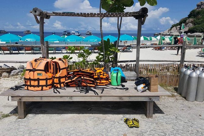 Mr. Tu Snorkel Day Trip to Koh Nangyuan & Koh Tao by Speed Boat from Koh Samui - Who should book this day trip?