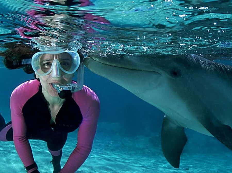 Muscat: 4-Hour Snorkeling Tour with Dolphin watching - Is $90 per person good value?