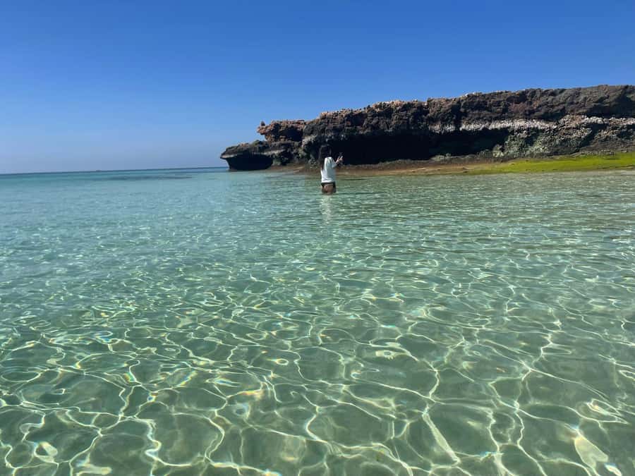 Muscat: Daymaniat Islands Snorkeling Trip with Brunch - Second stop: reef life beyond the turtles