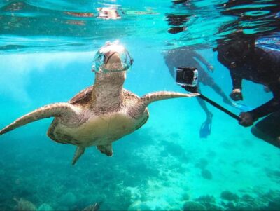 Daymaniat Islands Snorkeling Trip with Brunch