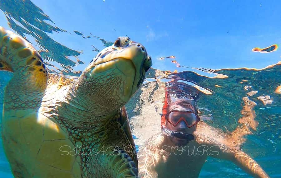 Muscat: Daymaniyat Island Snorkeling with Turtles Tour - The van ride and long speedboat approach