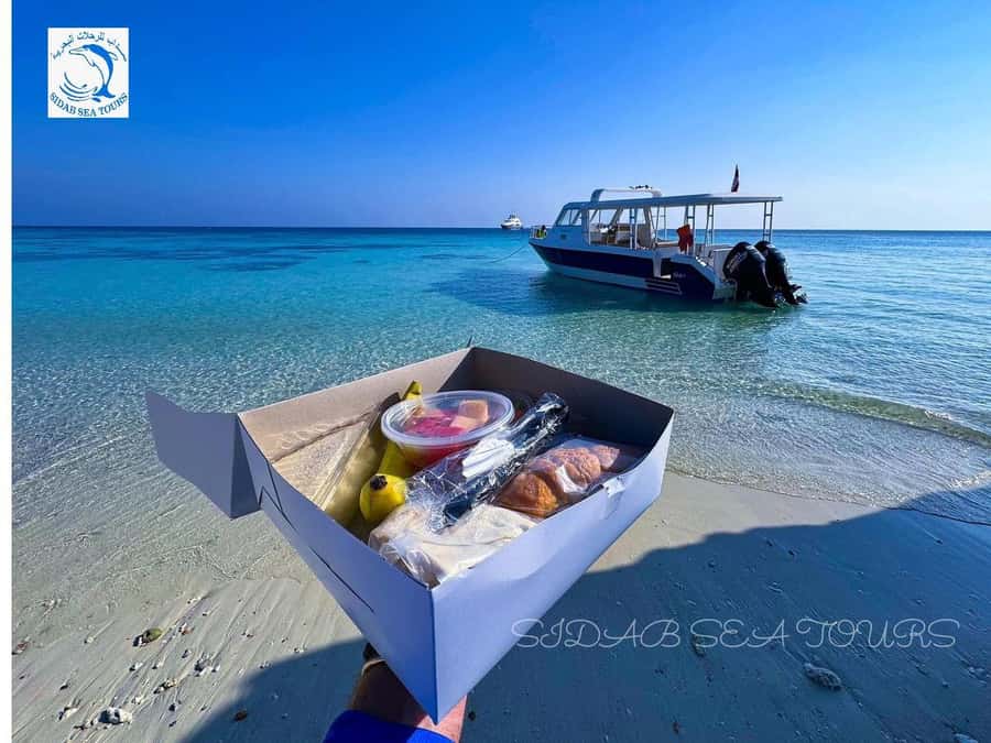 Muscat: Daymaniyat Island Snorkeling with Turtles Tour - The crew and day-to-day service