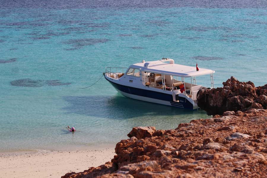 Muscat: Daymaniyat Island Snorkeling with Turtles Tour - An early start at Marina Bandar Al Rowdha