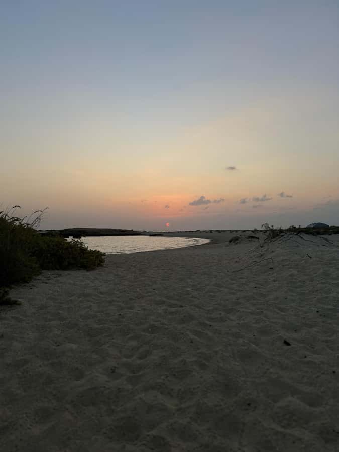 Muscat: Daymaniyat Islands Snorkeling Tour - Why the Daymaniyat Islands are worth your time