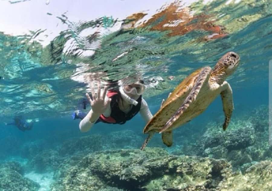 Muscat: Daymaniyat Islands Snorkeling Trip with BBQ Lunch - The boat ride to the islands