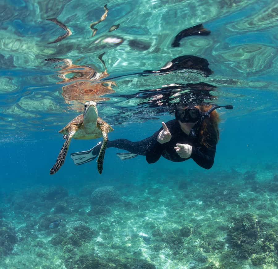 Muscat: Daymaniyat Islands Snorkeling Trip with BBQ Lunch - First snorkel stop: turtles and reef life