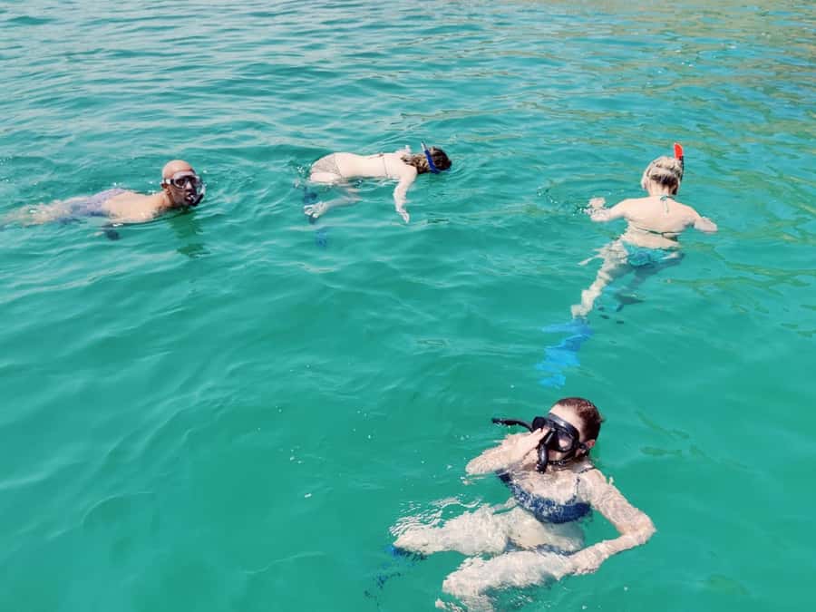 Muscat: Dolphin Watch & Snorkel Excursion - Watching dolphins without chasing them