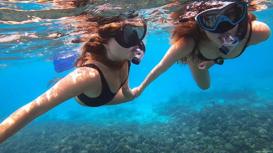 Muscat: Dolphin Watch & Snorkel Excursion - Timing, weather, and cancellation advice