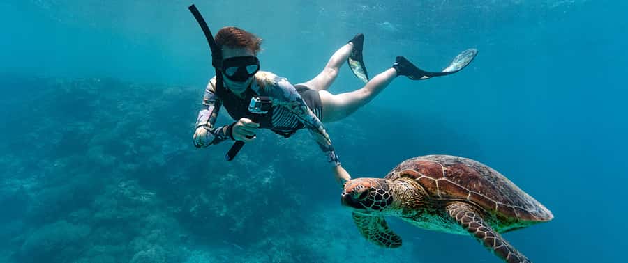 Muscat: Dolphin Watching and Snorkeling Tour - Boats, guides, and the level of service