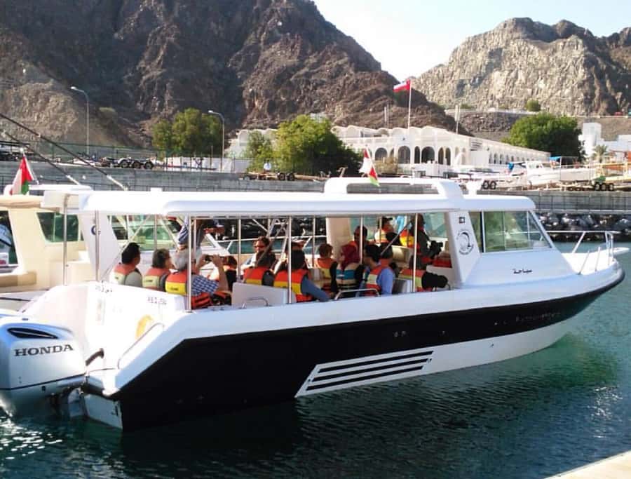 Muscat: Dolphin Watching and Snorkeling Tour - Is $90 a fair price?