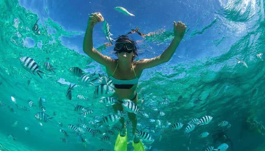 Muscat: Dolphin Watching and Snorkeling Tour - Practical advice for a smoother morning