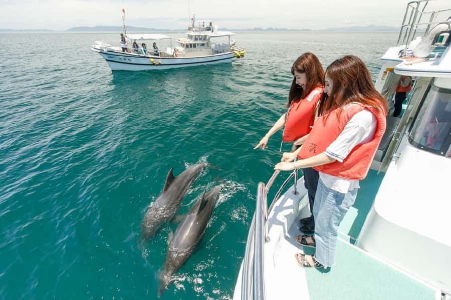Muscat: Dolphin Watching and Snorkeling Tour - The van transfer from Muscat