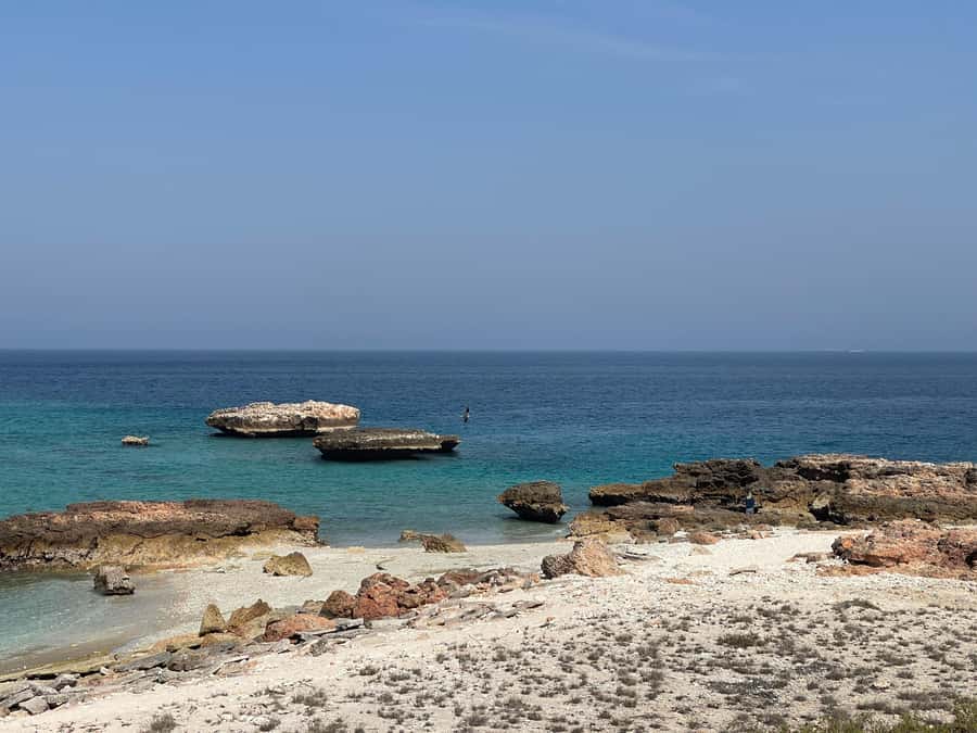 Muscat Oman: Snorkeling adventure to Daymaniyat Island - What the Reef Looks Like in Real Conditions