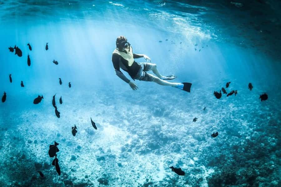 Muscat: Snorkeling and Dolphin Watching Tour - Starting at Marina Bandar Al Rowdha