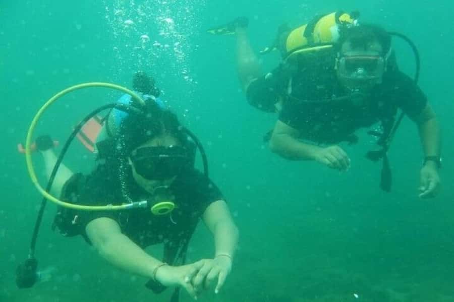 Muscat: Snorkeling and Dolphin Watching Tour - What the boat experience feels like