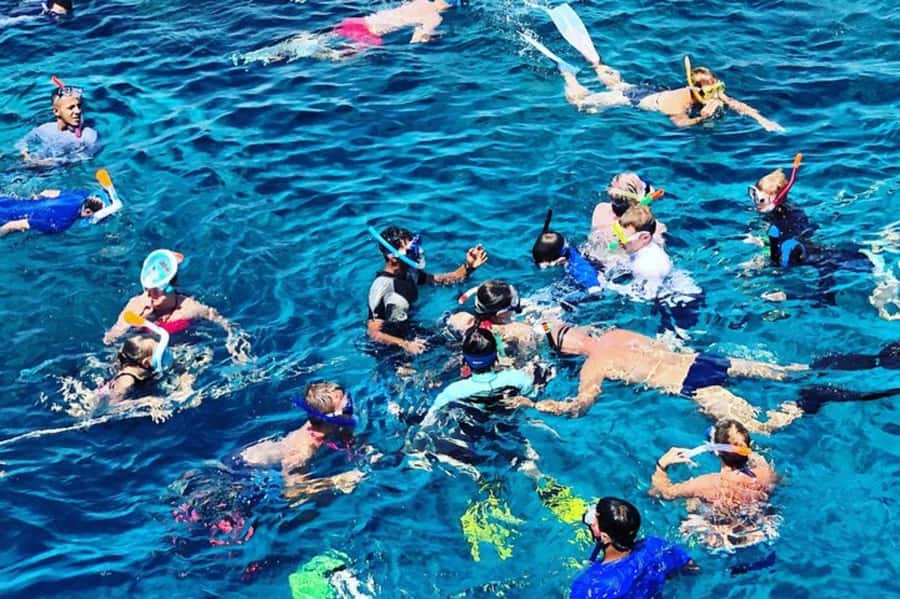 Muscat: Snorkeling and Dolphin Watching Tour - Practical tips for a smoother outing