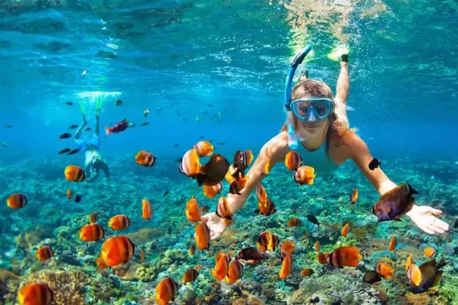 Muscat: Snorkeling and Dolphin Watching Tour - The three-hour boat trip from Muscat
