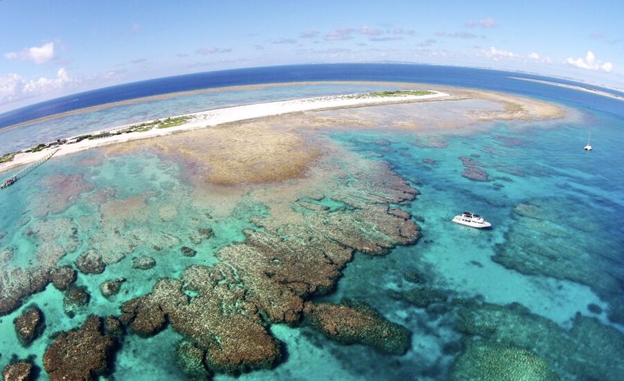Naha, Okinawa: Keramas Island Snorkeling Day Trip with Lunch - Key points to know before booking
