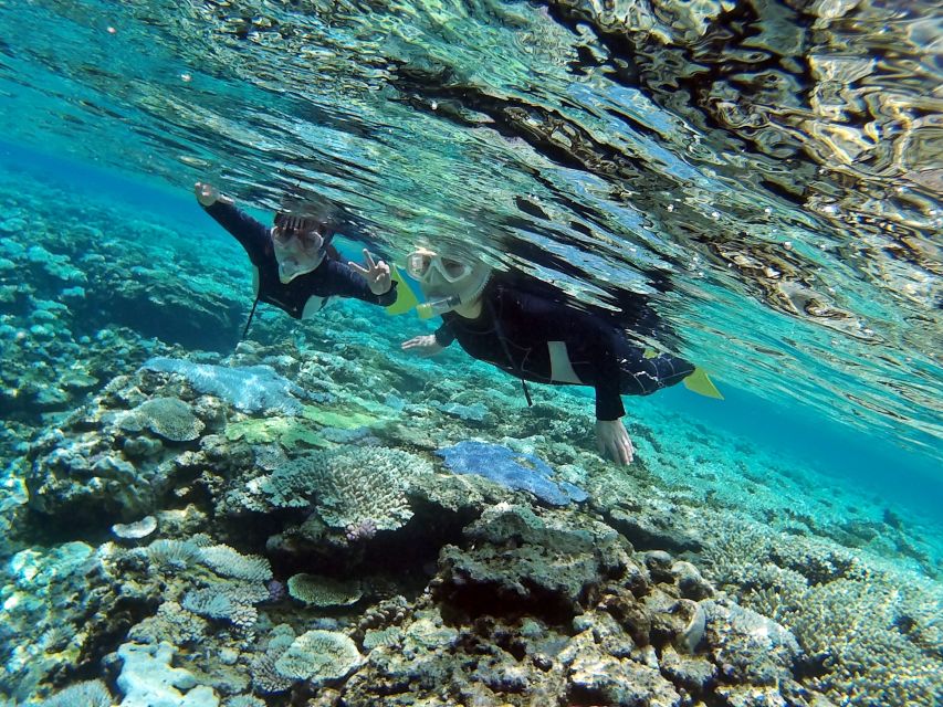 Naha, Okinawa: Keramas Island Snorkeling Day Trip with Lunch - Lunch, photos, and the useful boat facilities