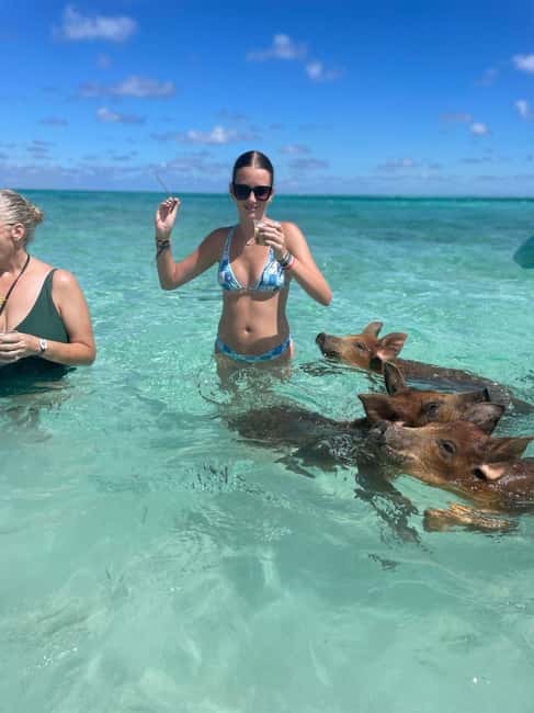 Nassau: 3-Island Snorkel Tour with Pigs, Beach Club, & Lunch - Who will enjoy this tour most?